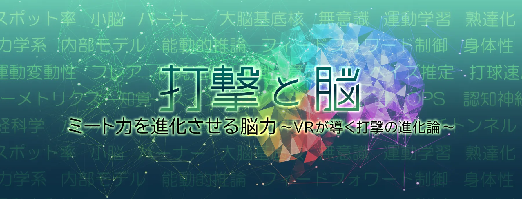 打撃と脳 - ミートカを進化させる脳力～VRが導く打撃の進化論～